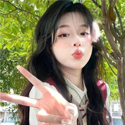 狗岛的宝藏