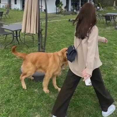 无声的证言第二十八季
